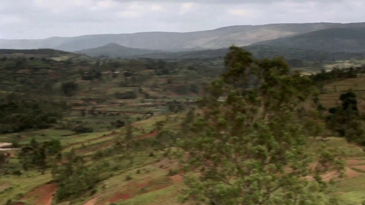 NOVA ÁFRICA - PGM 12 - CULTURA e DIVERSIDADE