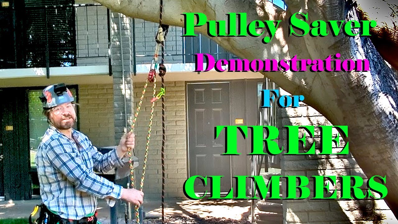 Демонстрация установки PULLEY SAVER для любителей лазать по деревьям