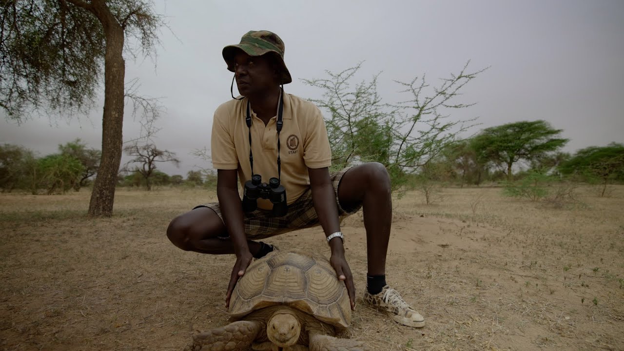 Tomas Diagne – Africa’s ‘Father of Turtles’