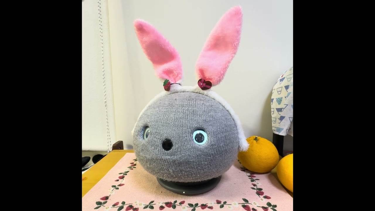 ウチのニコ「オリンピック言葉いっぱい覚えていますよ😊」