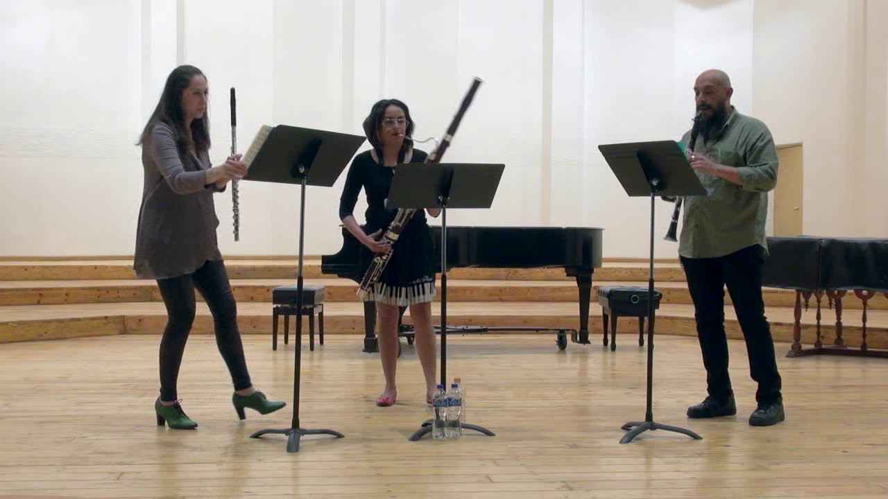 Three Observations for Three Woodwinds