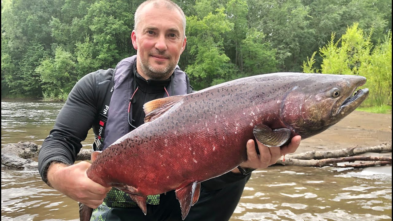 Рыбалка на Камчатке, август 2020г.    Kamchatka fishing  - august 2020