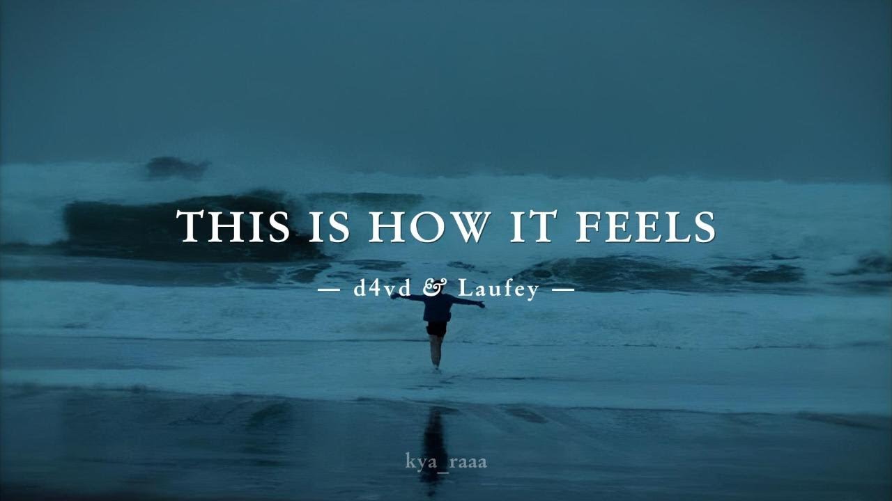 dv4d and Laufey- This is how it feels Lyrics