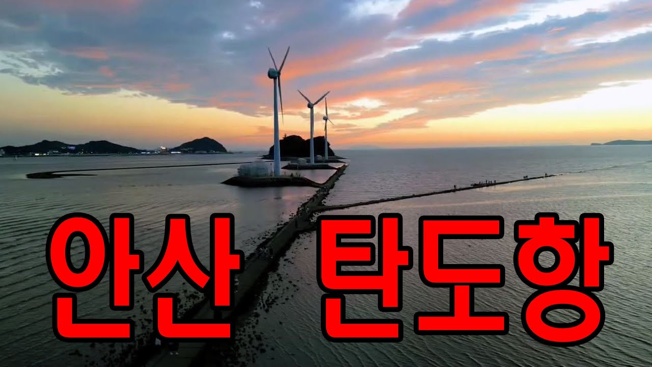 [안산 - 탄도항] 탄도항은 구경거리가 많은 서해안 최고의 차박지입니다. 주차는 제1주차장 입구에 주차하고 팬스 건너, 소나무 아래에 자리 잡으면 좋습니다. 빠르게 움직여야 합니다