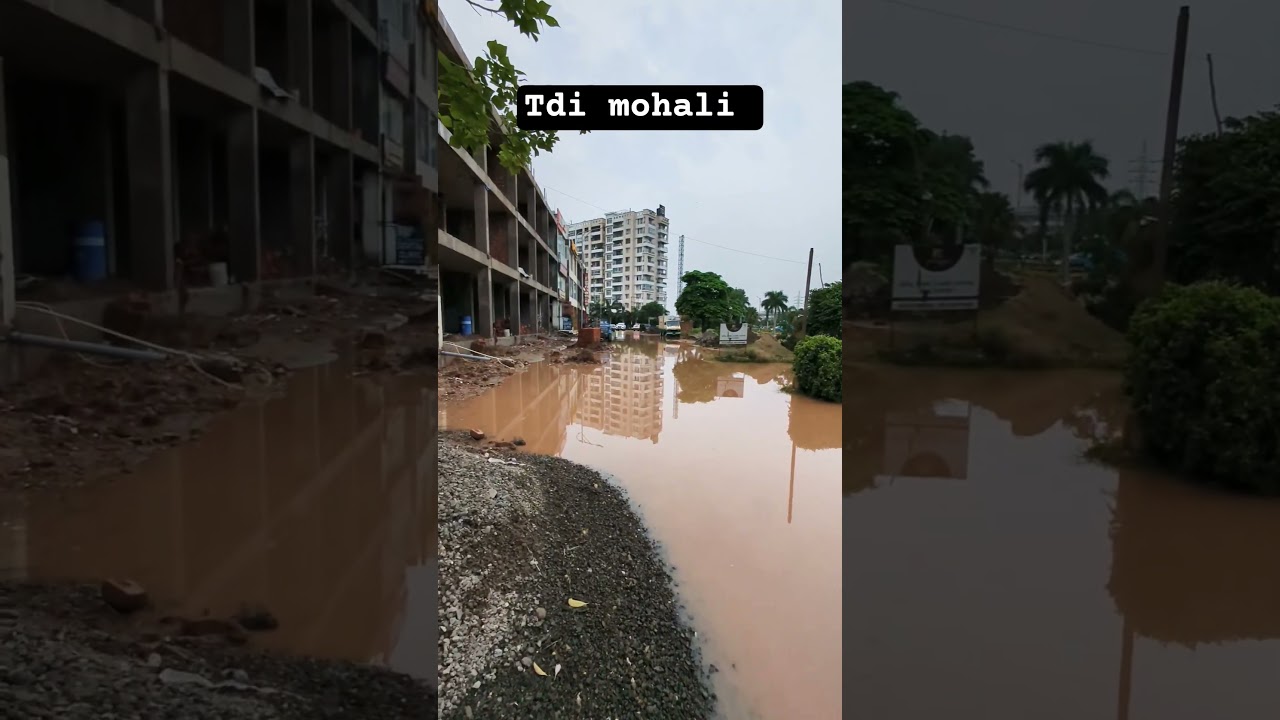 TDI city Mohali after the first rainfall.#tdicity #mohali #punjab
