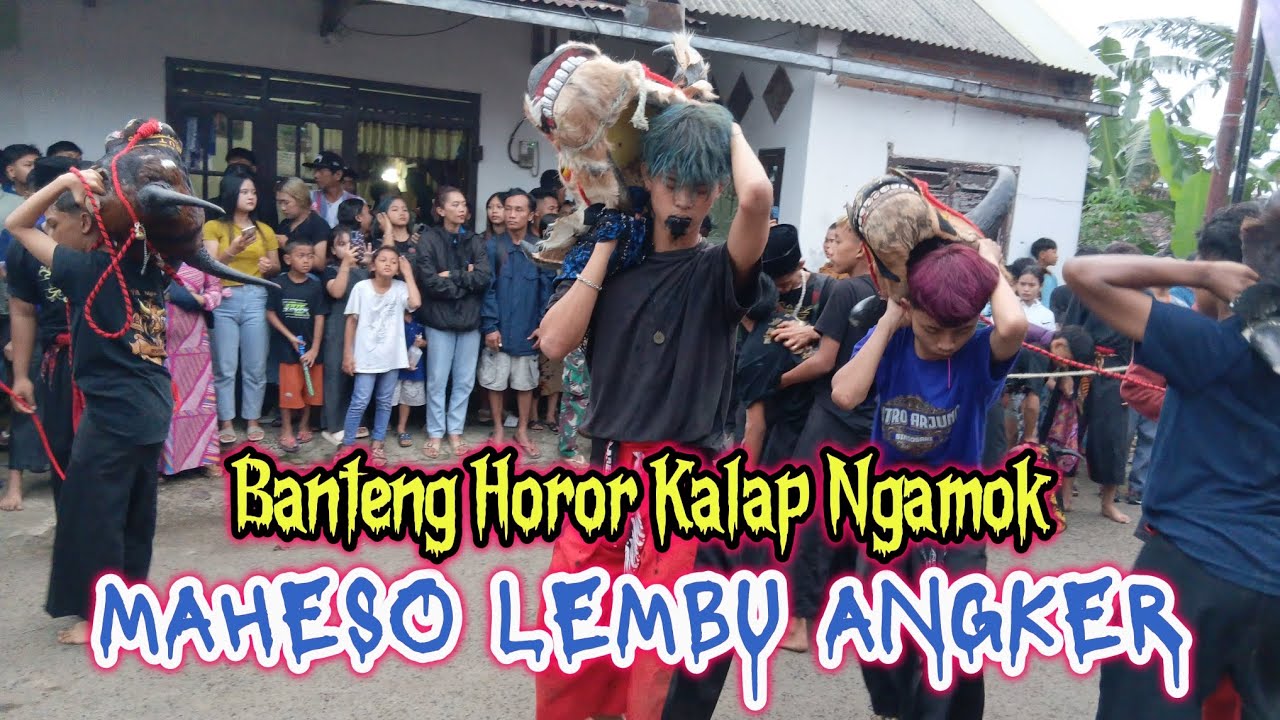 BANTENG HOROR KALAP NGAMOK 🔥 MAHESO LEMBU ANGKER LIVE in KREWEH