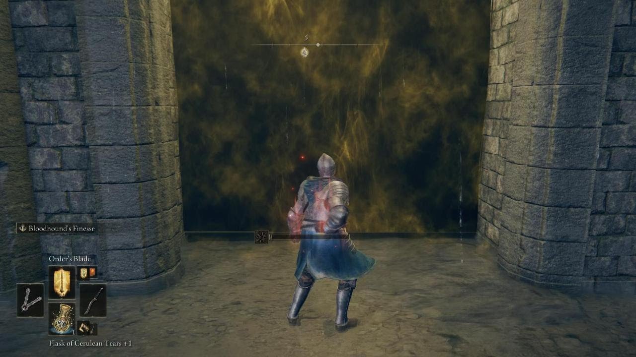 ELDEN RING Boss Fight Leonie Misbegotten