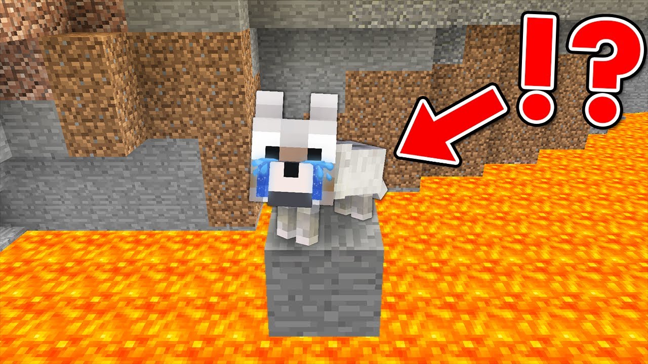 マインクラフトで子犬を救う！【まいくら・マイクラ】