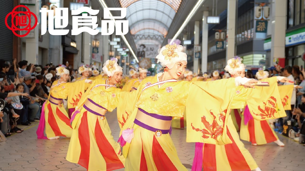 【公式】旭食品　第72回高知よさこい祭り「グロリオーサ」