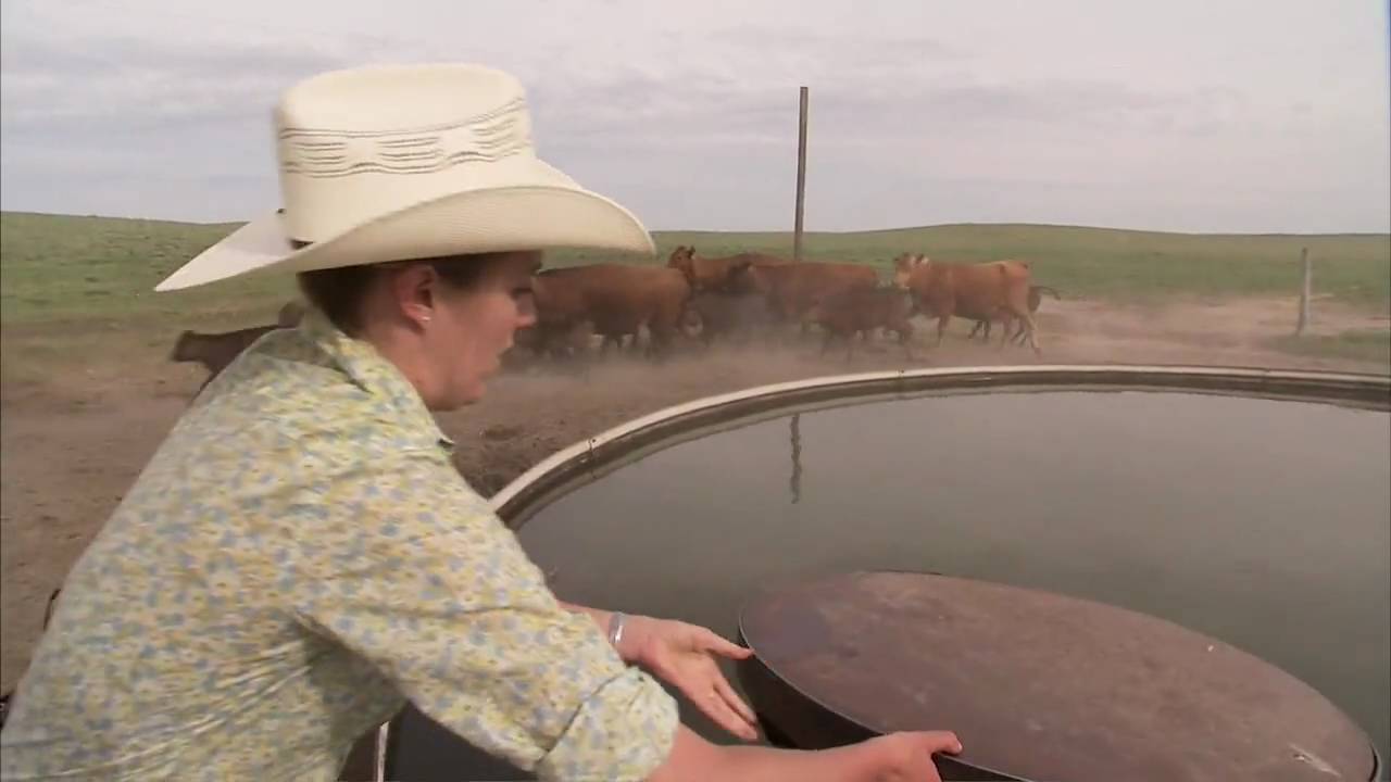 Young Female Colorado Rancher - America's Heartland