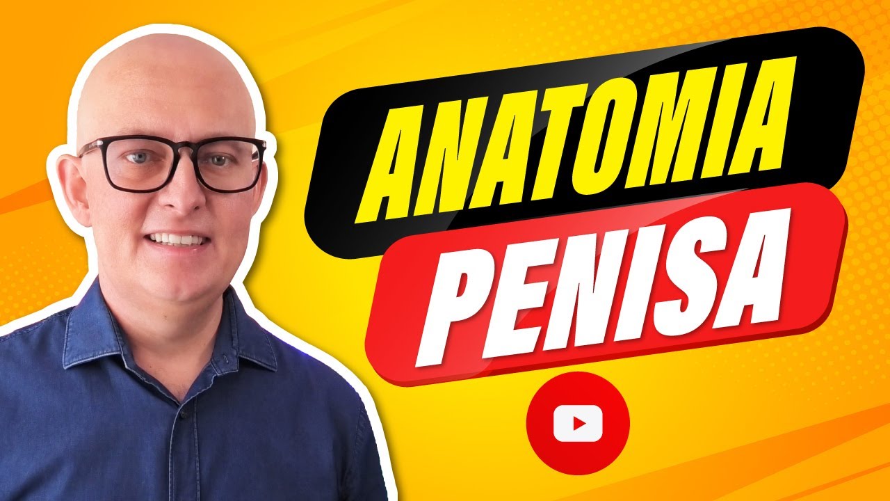 ANATOMIA PENISA Erekcja Prącia ILE CM DŁUGOŚCI MA NORMALNY PENIS Krzysztof Sobkowiak urolog