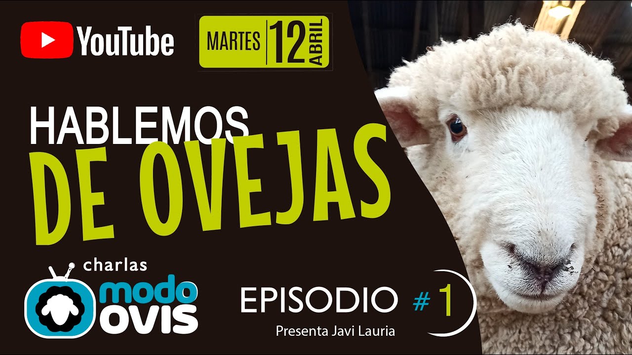 Charlas Modo Ovis - El Programa - Episodio #1 - 12-4-22