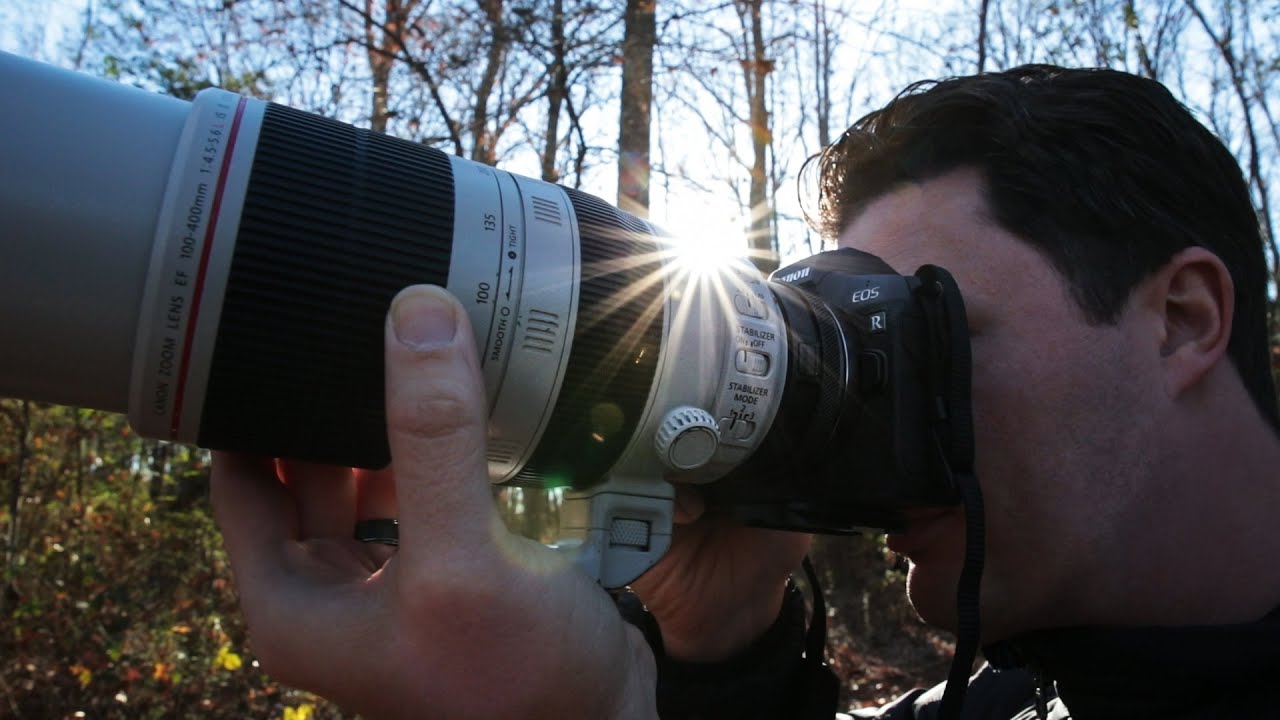 CANON EOS R для съёмки дикой природы и птиц: хорош ли он и какие настройки лучше всего подходят?