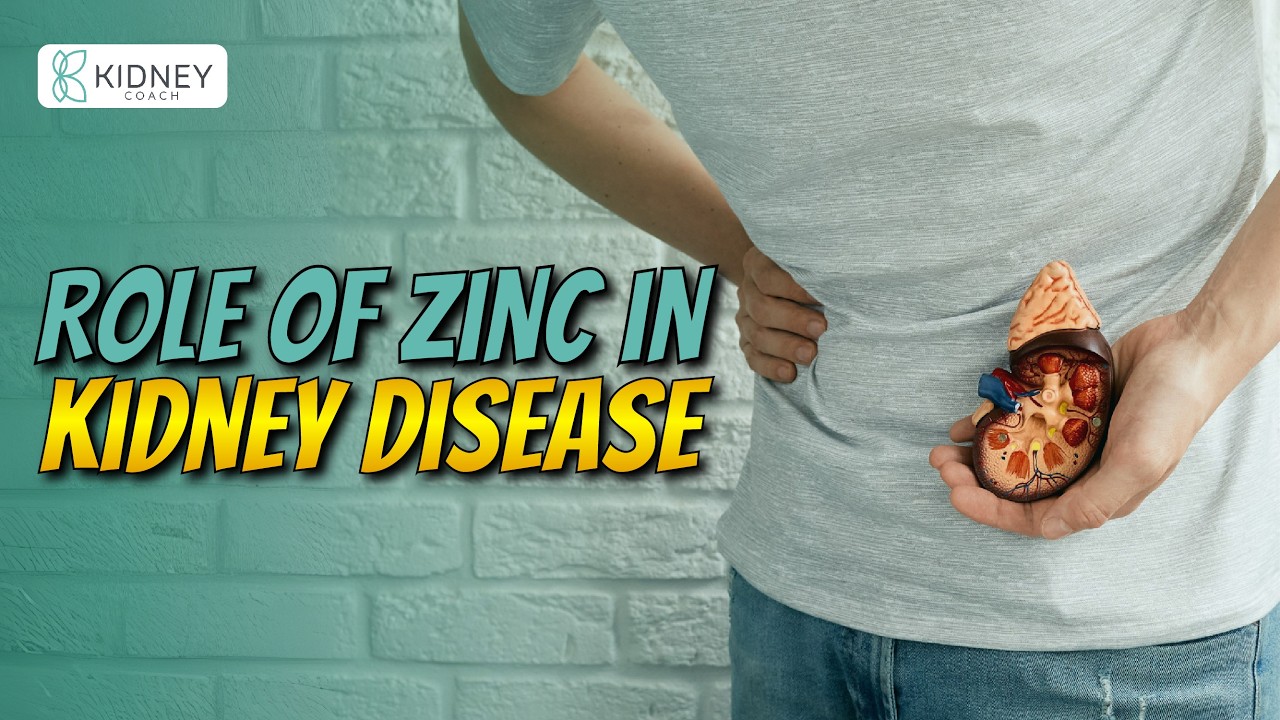 The Role of Zinc in Chronic Kidney Disease | How Zinc Deficiency Affects CKD Outcomes?