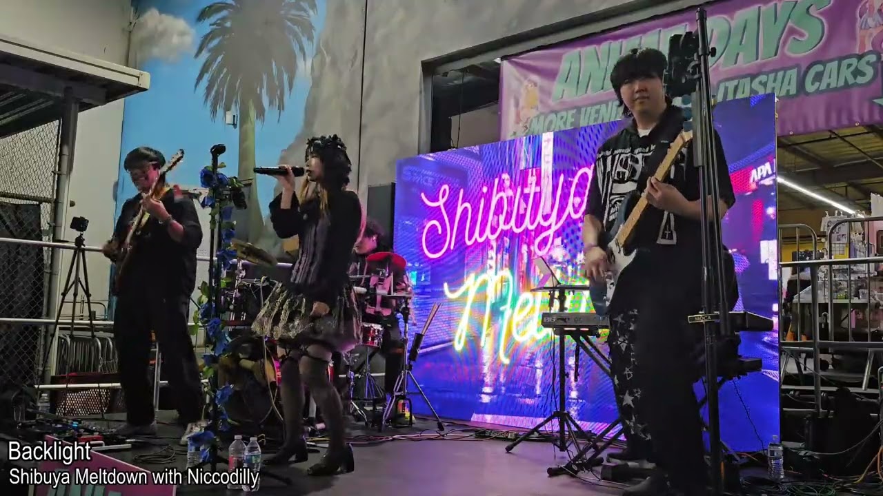 Shibuya Meltdown - Backlight(by Ado) @ AnimeDays 12/6/25