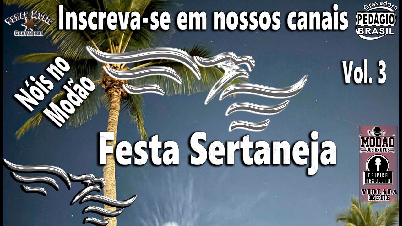 Modão Sertanejo (Nois no Modão) Festa Sertaneja