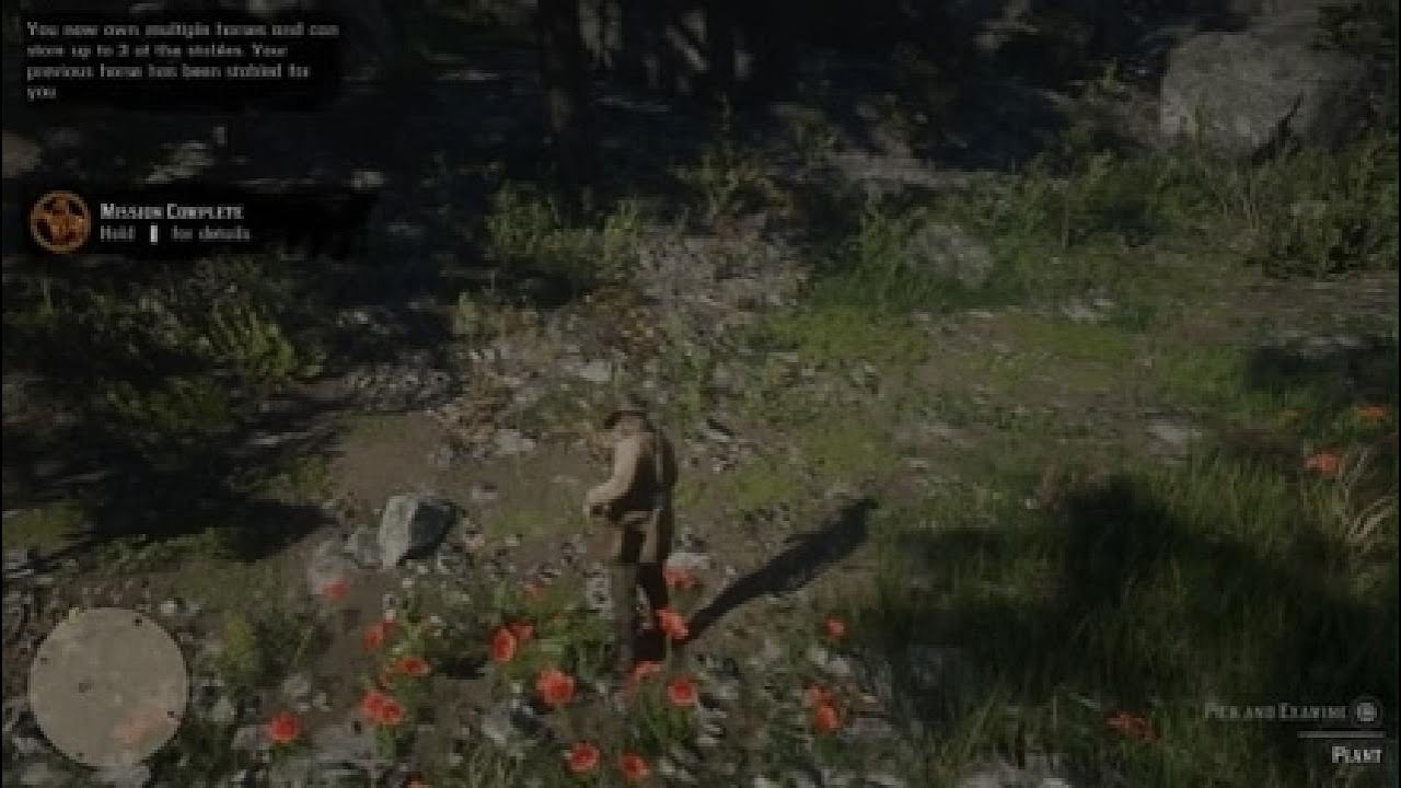Red Dead Redemption 2 chapter 2 episode 3
