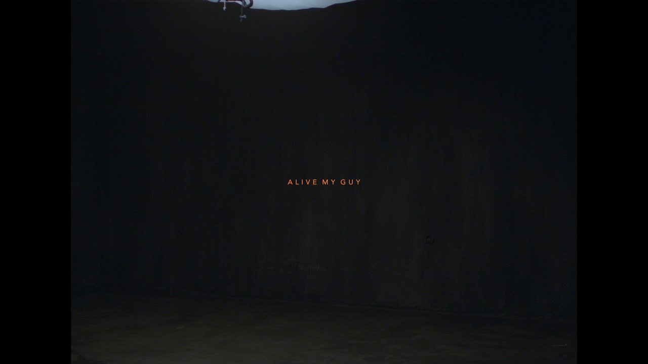 Next November - Alive My Guy (Visualizer)