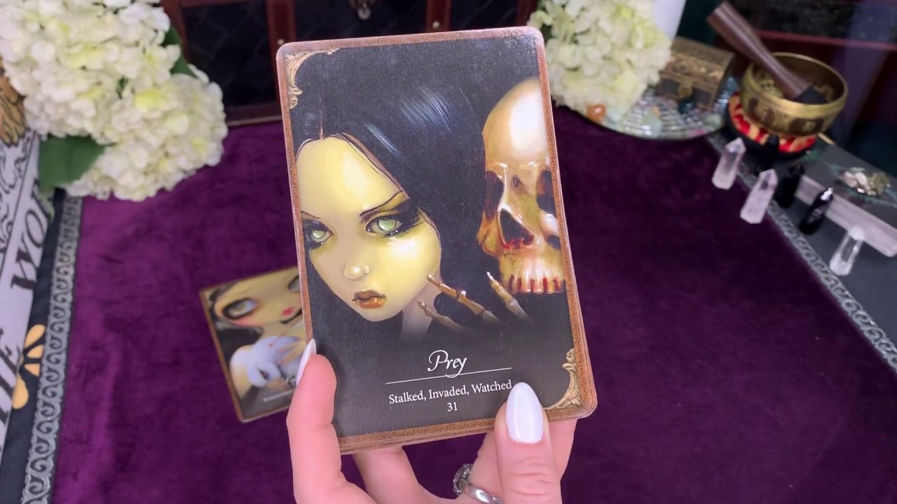🌟Leo🌟 Thank You. Next!| They Feel Victimized | Tarot Reading