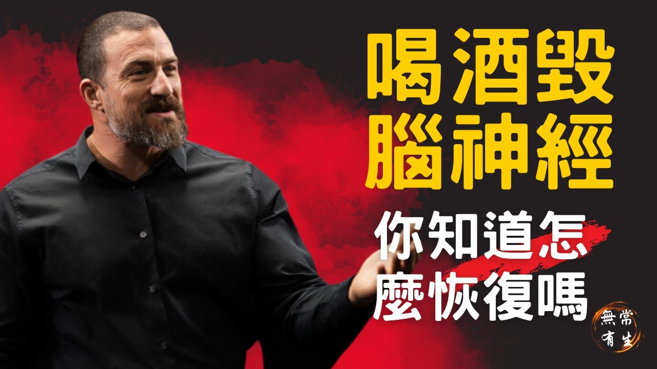 酒後怎麼修復腦神經和身體 喝酒毀大腦（續）｜腦神經學｜Dr Andrew Huberman 醫生 #無常有生