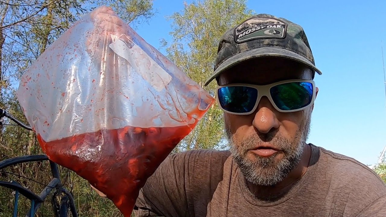 Fishing For Catfish With Kool Aid Chicken, Catch & Cook
