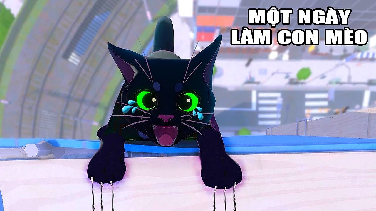 THỬ THÁCH Một Ngày Làm MÈO CON ĐI LẠC | Little Kitty Big City