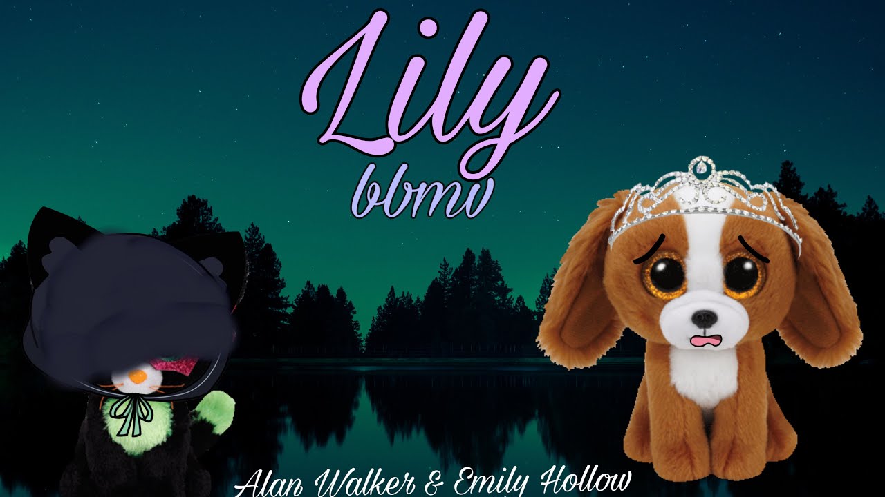 Lily BBMV