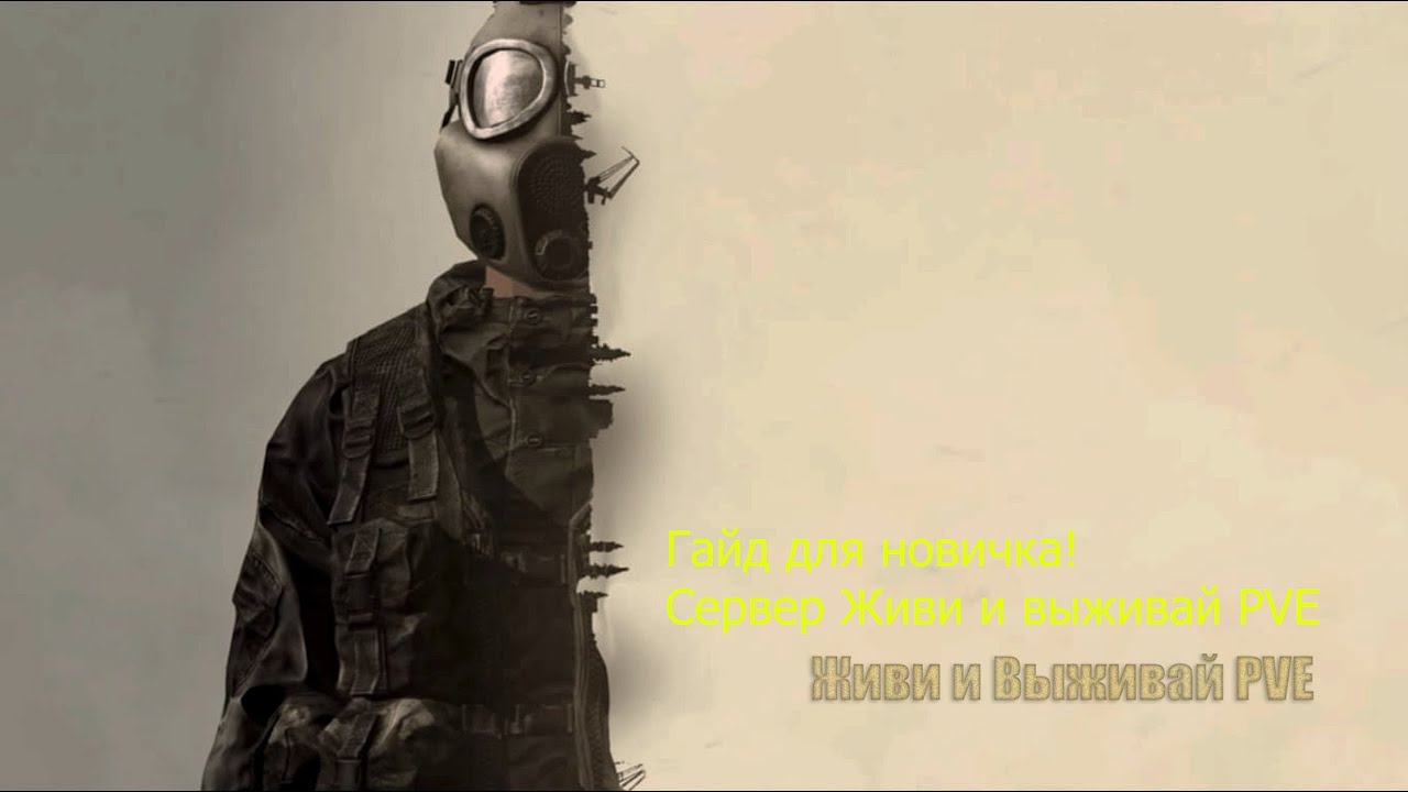 Гайд по вопросам новичков DayZ (Живи и Выживай Мутанты) #dayz