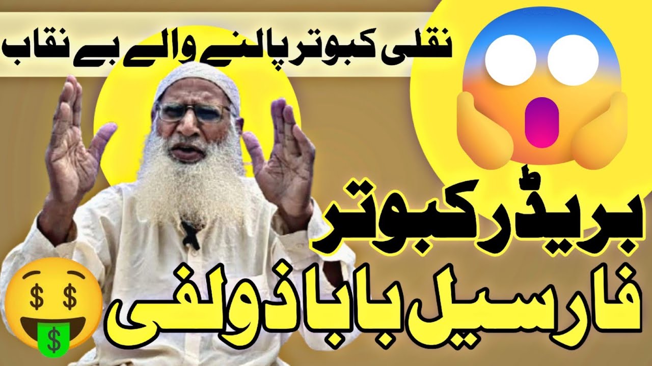 Fake Breeders EXPOSED! 😱 Baba Zulfi's Real Pigeons Now For Sale 💰🕊️ | Teddy king pigeon