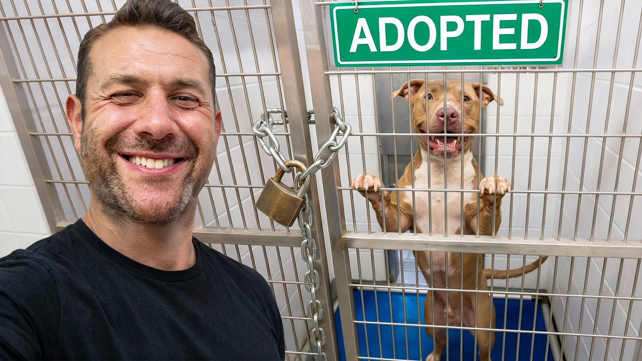 No one wanted this dog, so I rescued her.