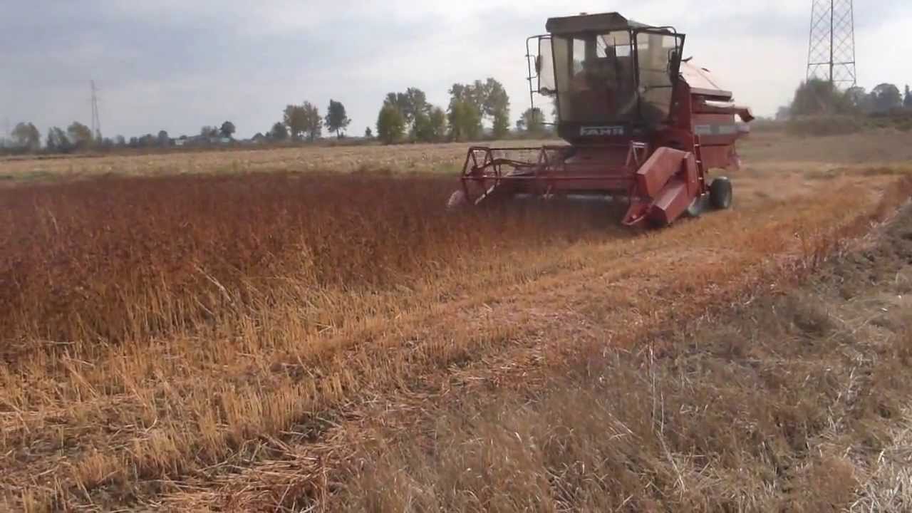 GRYKA 2013 DEUTZ FAHR M1002 W  AKCJI