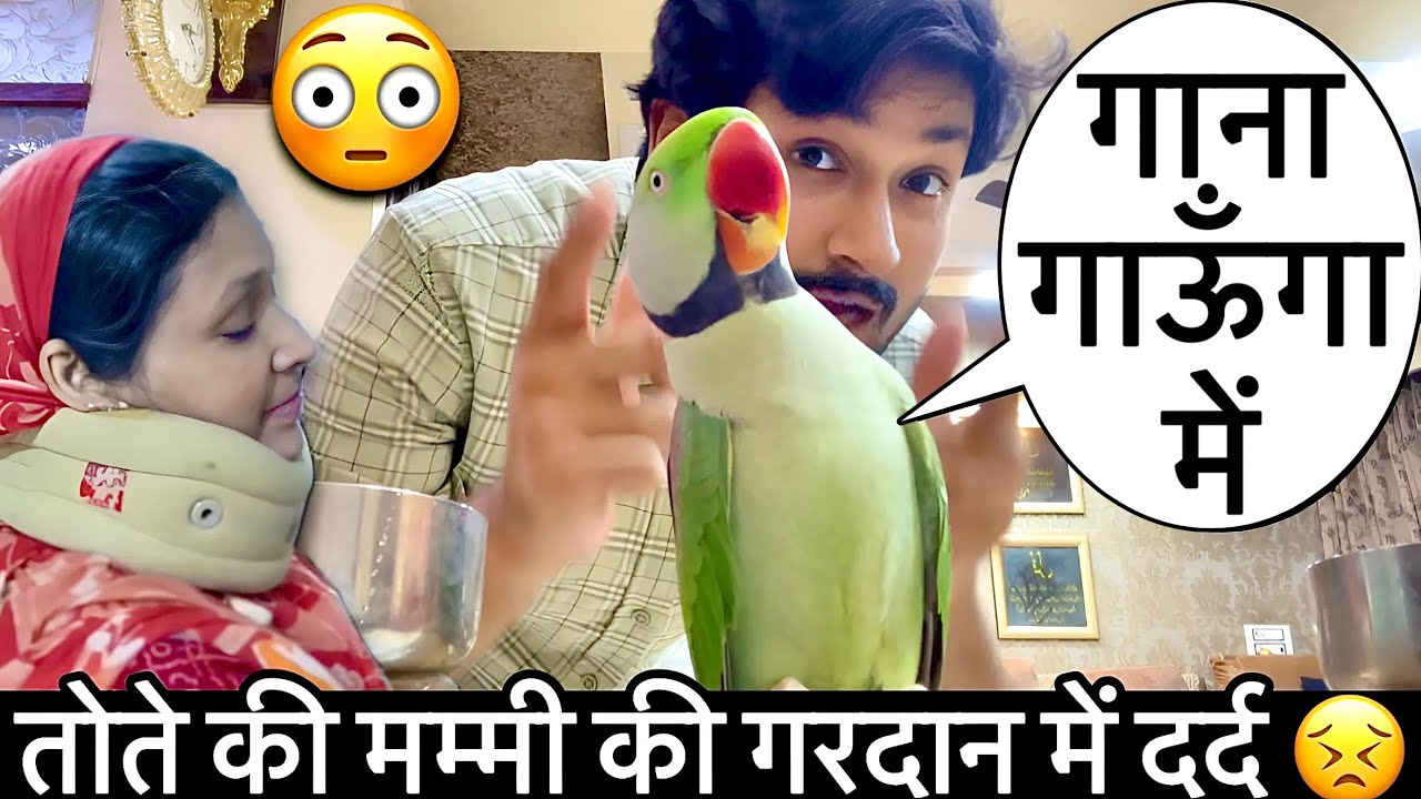 गाना गाने वाला तोता 😍मम्मी की गरदान में हुआ दर्द 😥 #bolnewalatota #vlog #pets #animals 