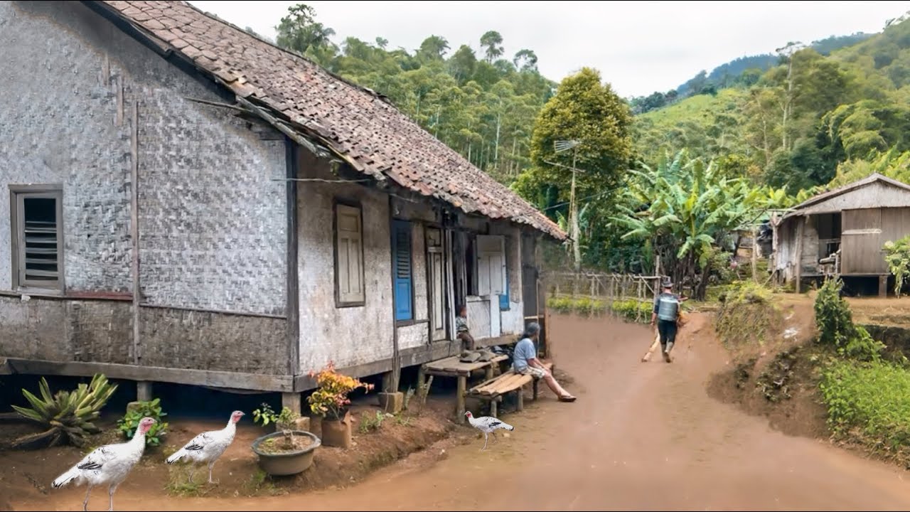 “GAK PERCAYA! Di Bandung masih ada Kampung Seperti ini”