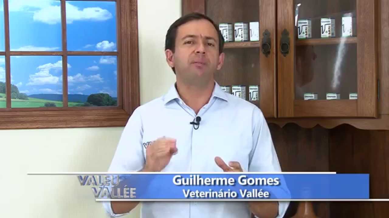 Infecção uterina pós-puerperal