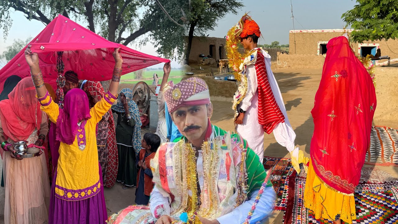 Amazing Tribal Marriage in Cholistan Desert Village || Village Baraat || Creamwala || Shadi ||Walema