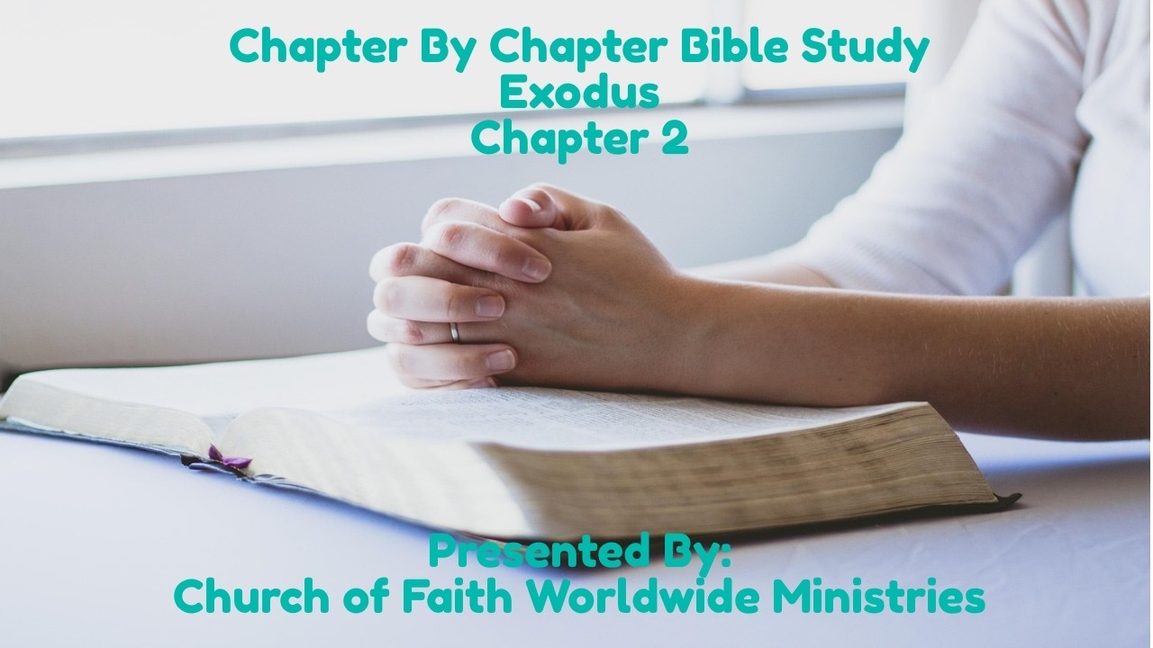 Exodus 2   Moses  “A Fugitive in the Desert”