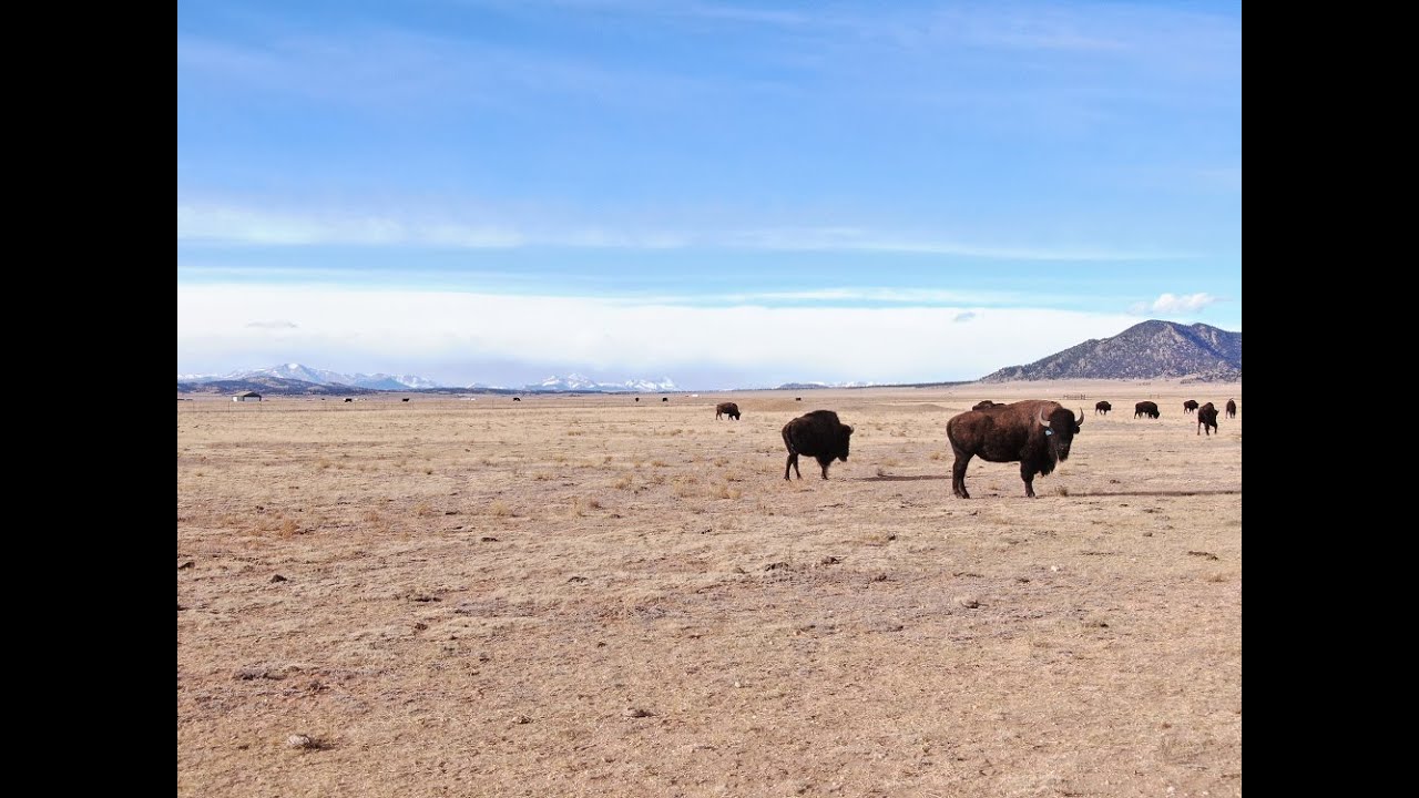 Elk Mountain Ranch Company - One of the largest parcels of land we've filmed!