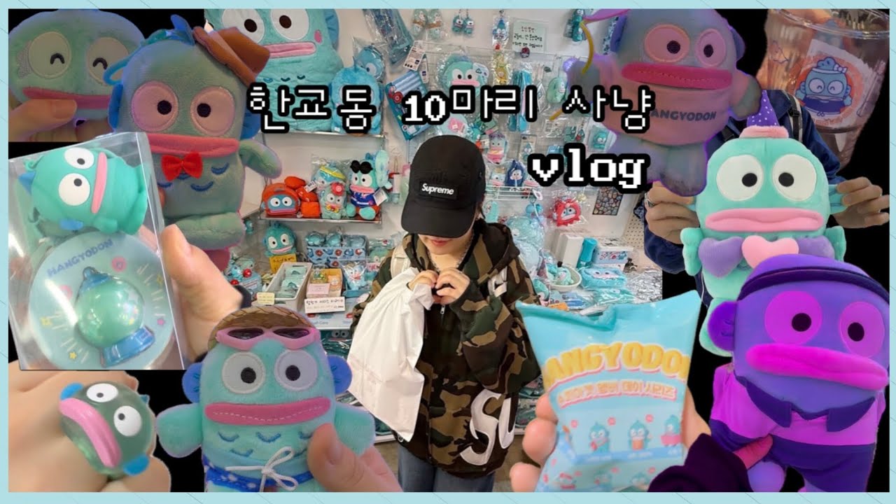 한교동 10마리 잡는 브이로그 • 수원 행궁동 • 교동사냥꾼 EP. 1