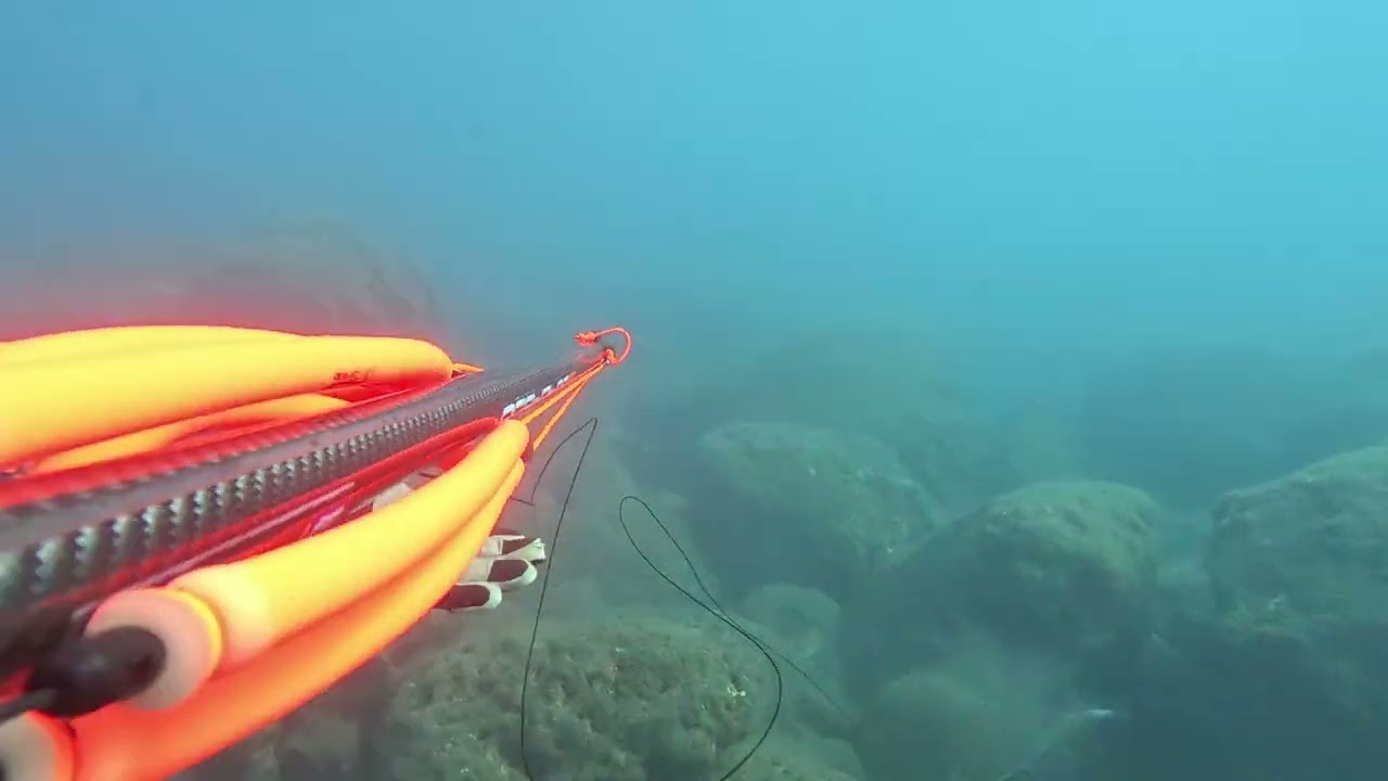 horizon lock GoPro 11underwater spearfishing