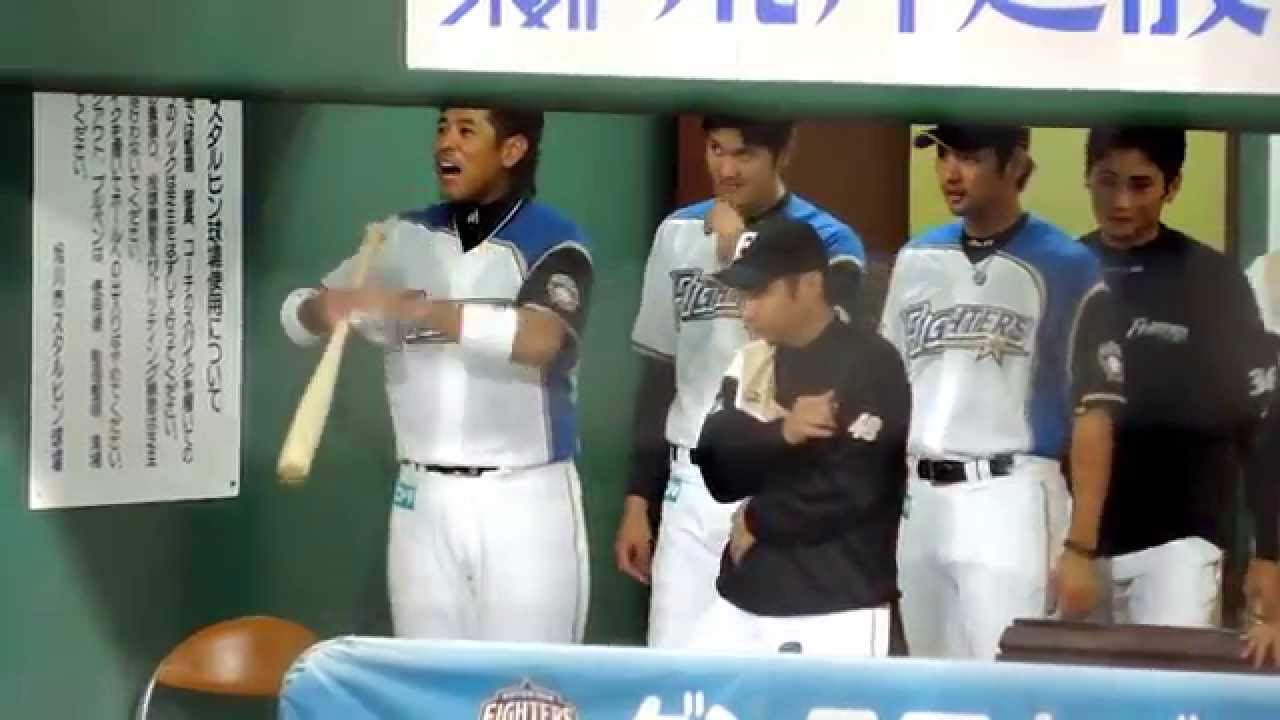 野生の蛾ＶＳ大谷くん＆稲葉さん　そこに谷本投手が来て・・・ 【20140820スタルヒン】