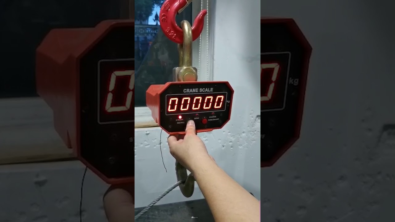 CRANE SCALE