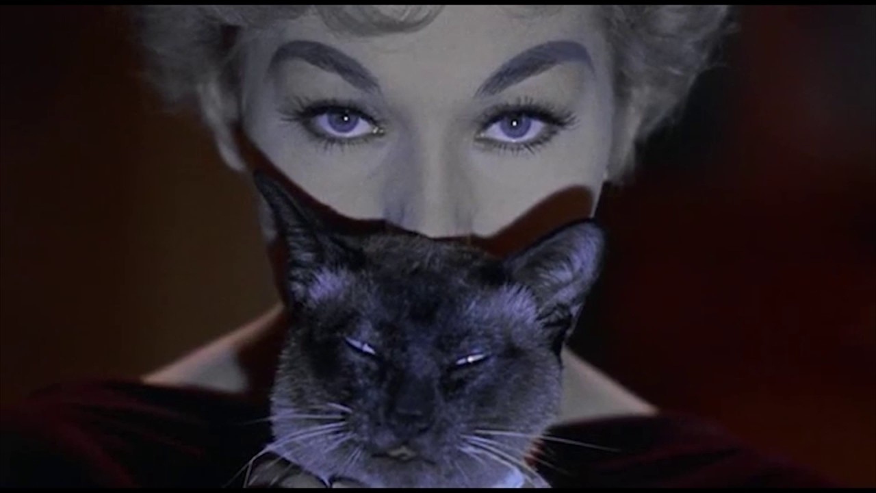 Cine-cats love...