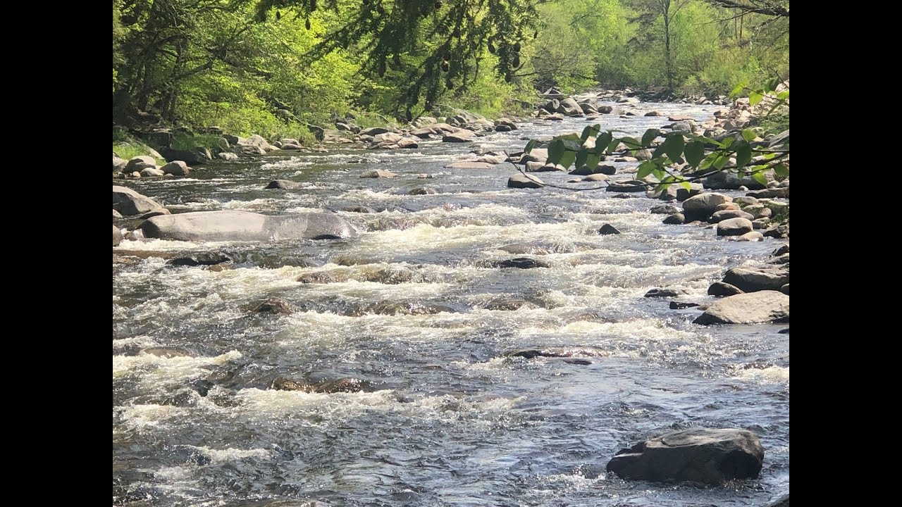 You wouldn't believe how much GOLD is along the Wild Ammonoosuc (NH Gold Panning Trip)