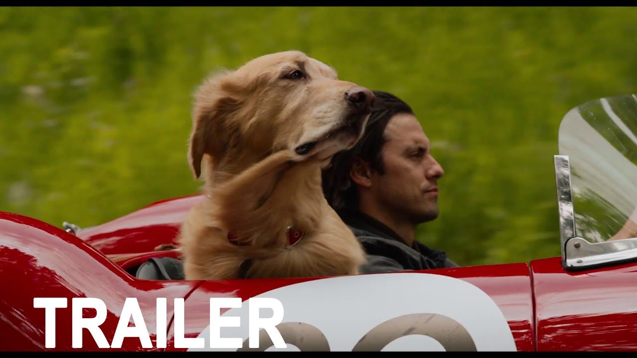 The Art of Racing in the Rain  |  Official Trailer   |   (2019)