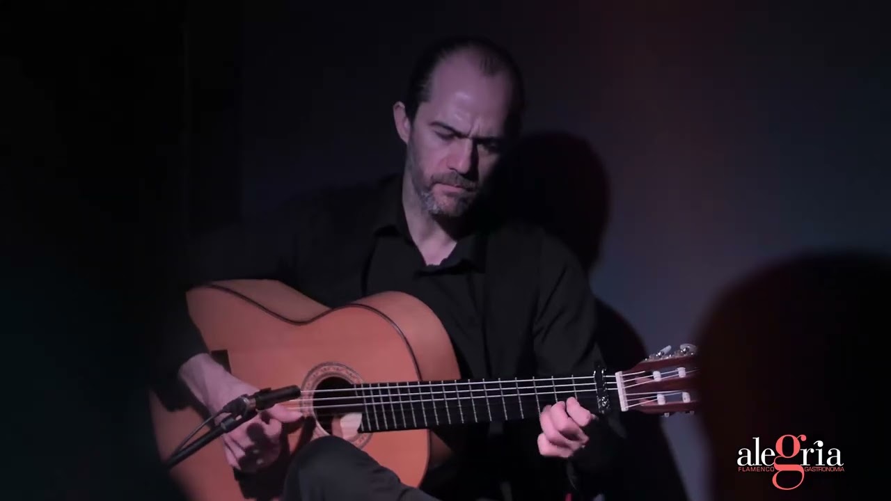 ALEGR&Iacute;A FLAMENCO INTERACTIVO