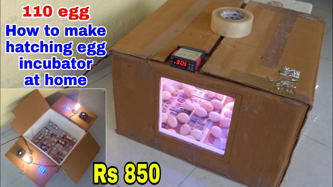 how to make hatching egg incubator at home | चूजे की मसीन