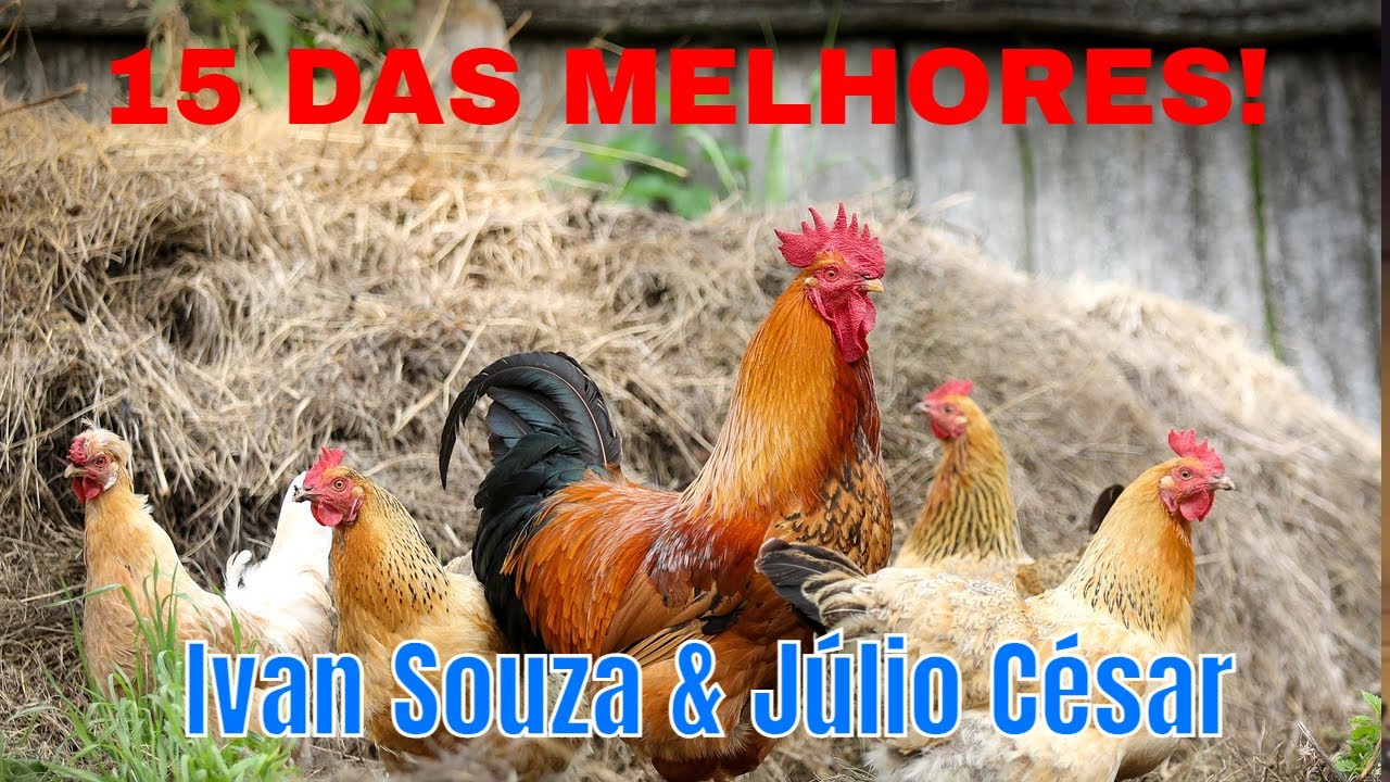 15  PREFERIDAS  DE - Ivan Souza & Júlio César