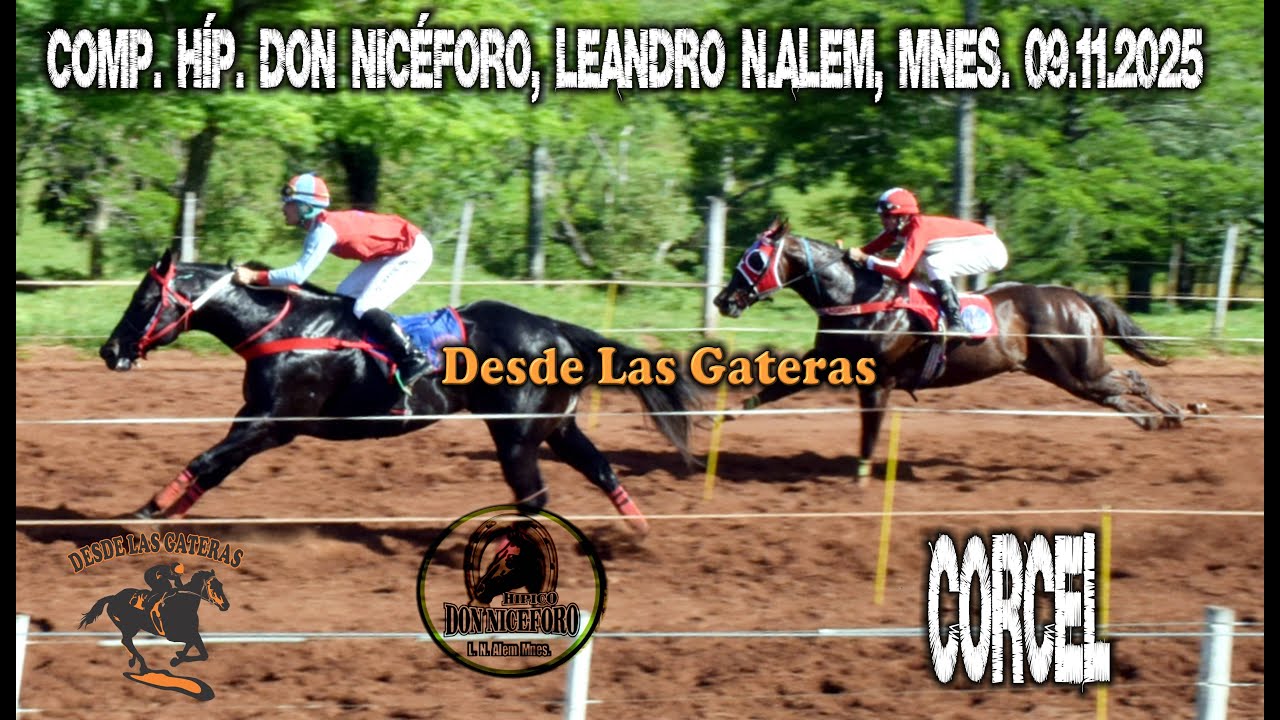 CORCEL - COMPLEJO HIPICO DON NICEFORO, ALEM 09.11.2025