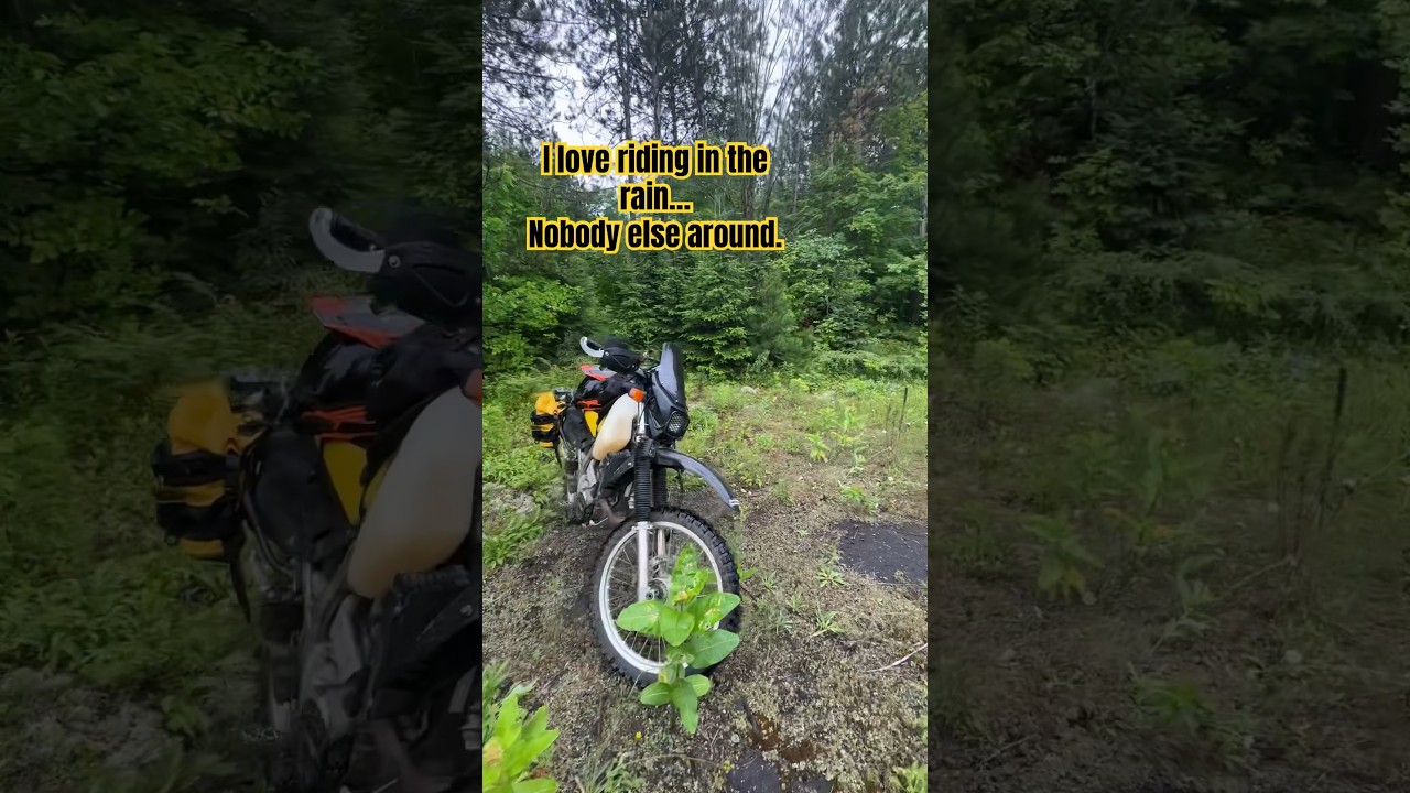 Rainy days are some of my favourite #dr650 #motorcyclecamping #shorts #dualsport