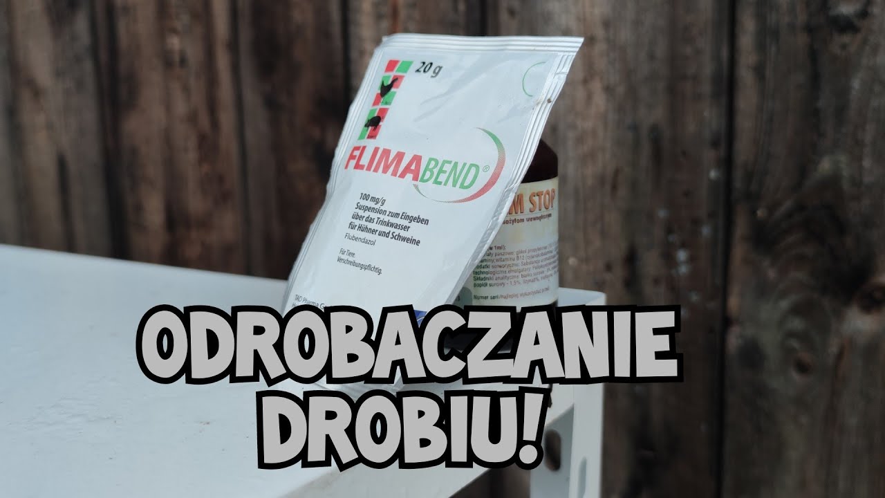 Hodowla Kur - Odrobaczanie Kur! | Czy jest potrzeba?